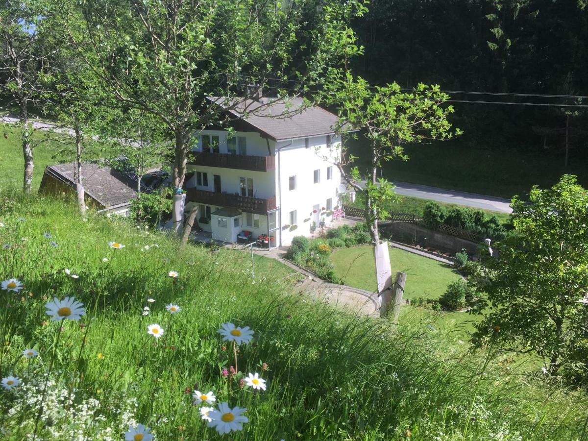 Ginnys Place Kotschach-Mauthen Екстериор снимка
